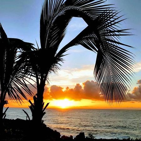 Pahoa Paradise Palms Exteriér fotografie