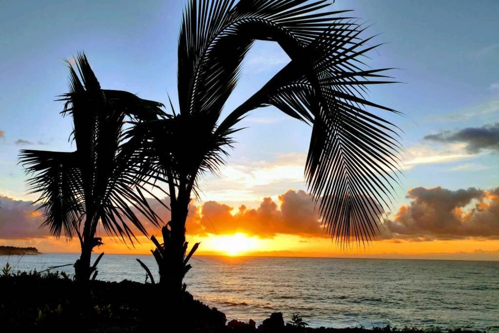 Pahoa Paradise Palms Exteriér fotografie
